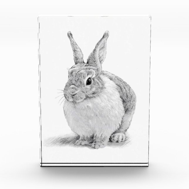 Cute Rabbit Pencil Drawing Photo Block (Front)