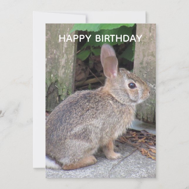 Cute Rabbit Photo Birthday Flat Card (Front)