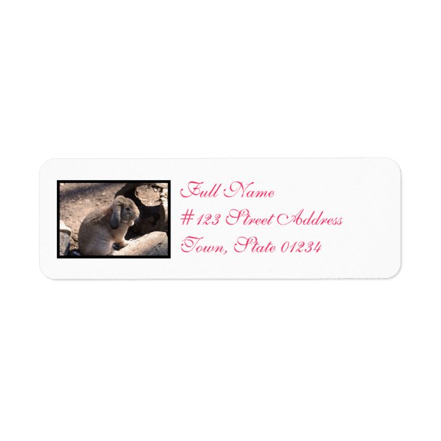 Cute Rabbit Return Address Label (Front)
