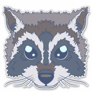 Cute Racoon