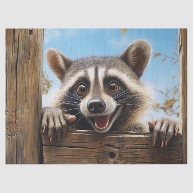  Cute Racoon Animal Decoupage Tissue Paper (Front)