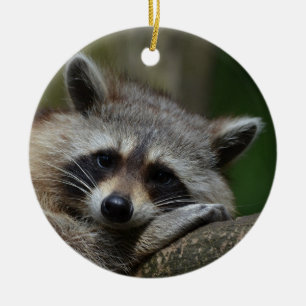 Cute Racoon Ceramic Ornament
