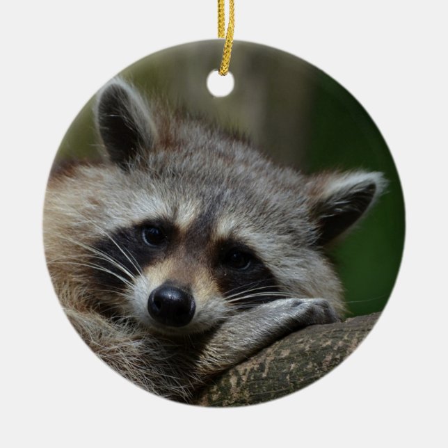 Cute Racoon Ceramic Ornament (Front)