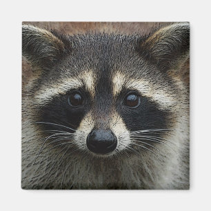 Cute Racoon Face Photo Magnet