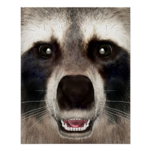 Cute Racoon Head Funny Animal Portrait Poster