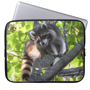 Cute Racoon in a Tree Laptop Sleeve