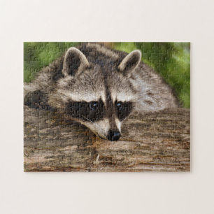 Cute Racoon in Forest Photo Jigsaw Puzzle