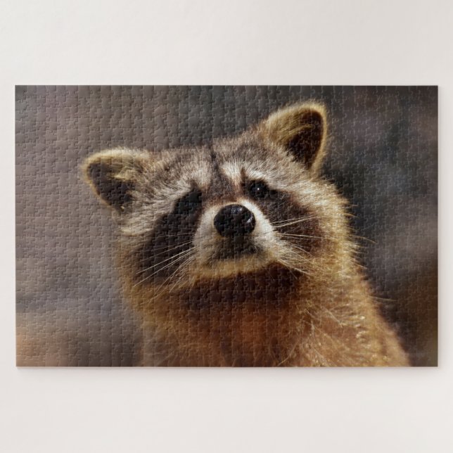 Cute Racoon Jigsaw Puzzle (Horizontal)