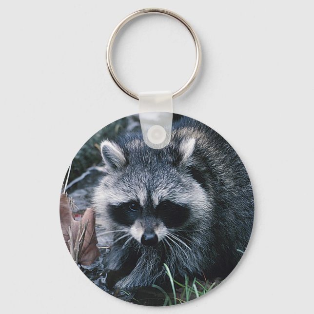 Cute Racoon Key Ring (Front)