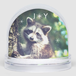 Cute Racoon on the Jungle Snow Globe 
