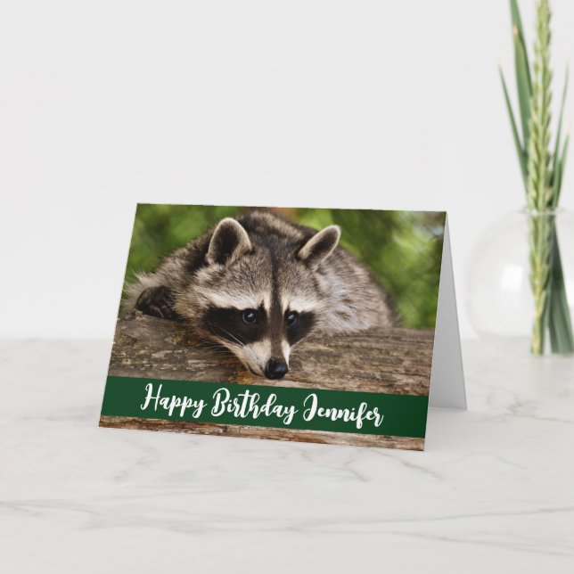 Cute Racoon Resting on a Log Birthday Card (Front)