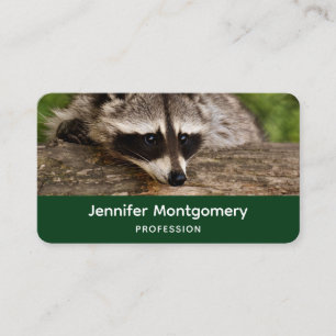 Cute Racoon Resting on a Log Business Card