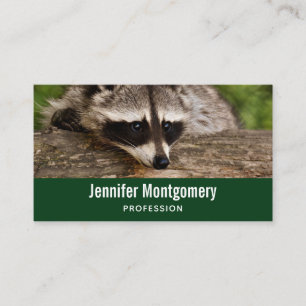 Cute Racoon Resting on a Log Business Card