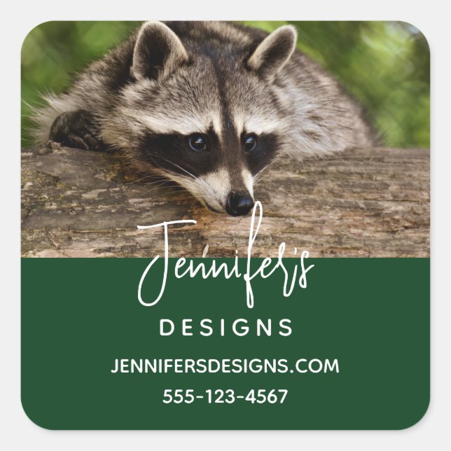 Cute Racoon Resting on a Log Business Square Sticker (Front)