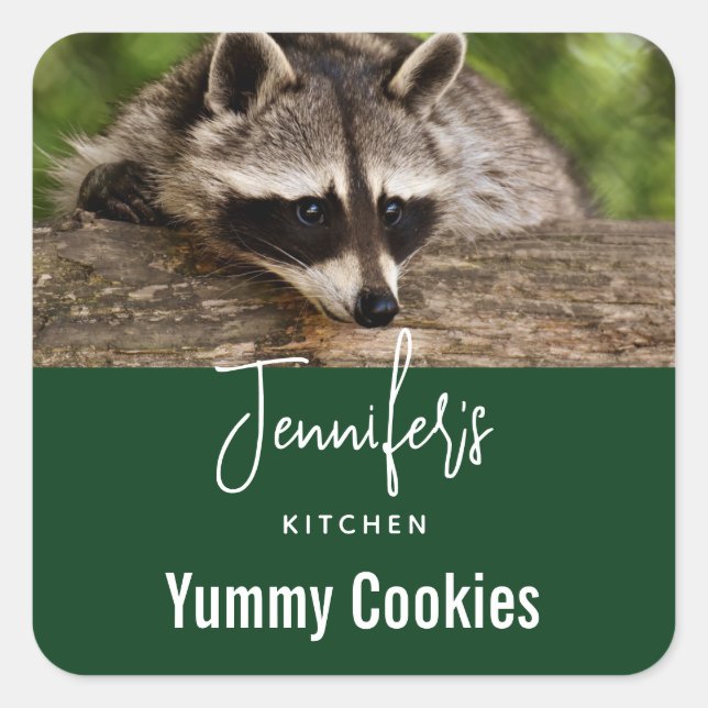 Cute Racoon Resting on a Log Candle Kitchen Square Sticker (Front)