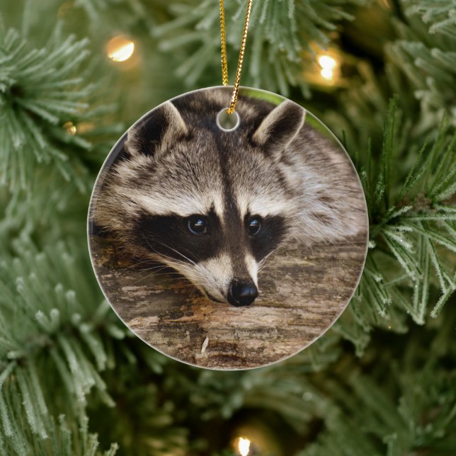 Cute Racoon Resting on a Log Ceramic Ornament (Tree)