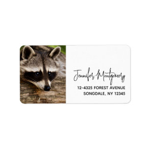 Cute Racoon Resting on a Log Label