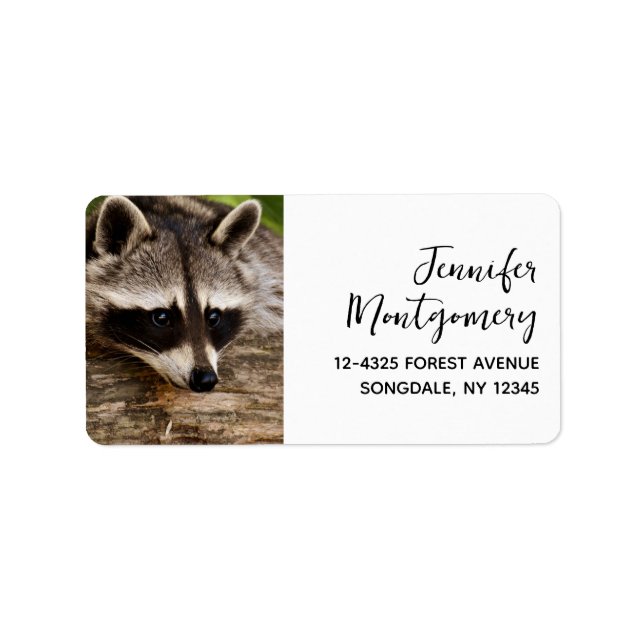 Cute Racoon Resting on a Log Label (Front)