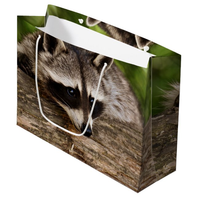 Cute Racoon Resting on a Log Large Gift Bag (Front Angled)