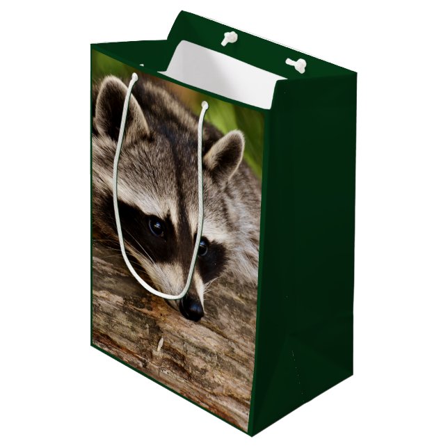 Cute Racoon Resting on a Log Medium Gift Bag (Front Angled)
