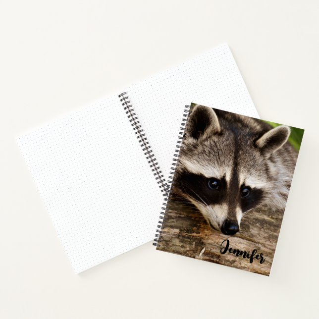 Cute Racoon Resting on a Log Notebook (Inside)