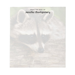 Cute Racoon Resting on a Log Notepad