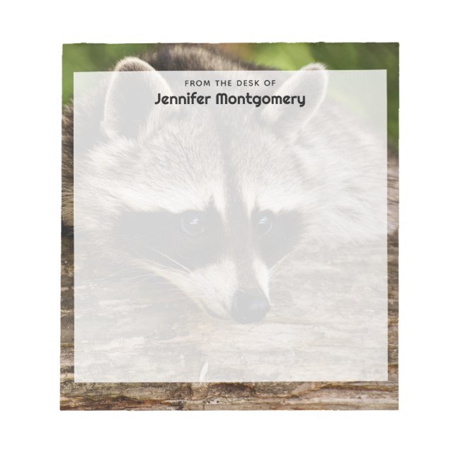 Cute Racoon Resting on a Log Notepad (Front)