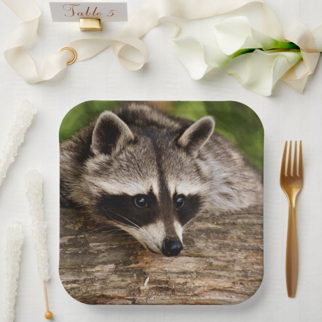 Cute Racoon Resting on a Log Paper Plate (Wedding)