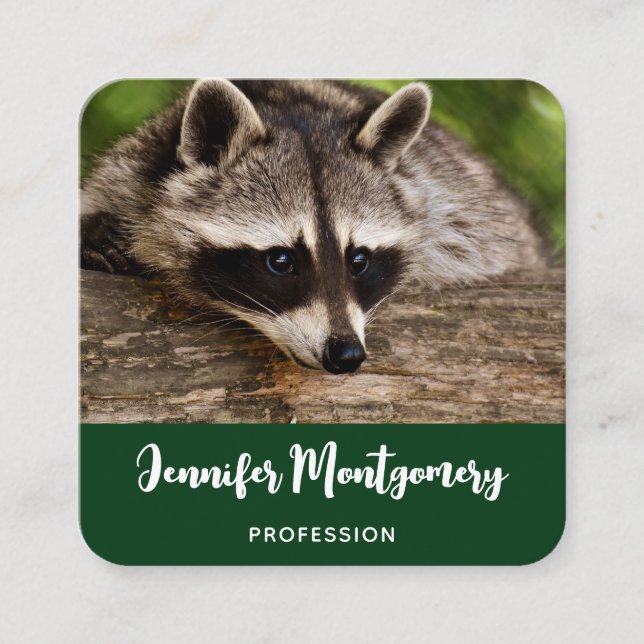 Cute Racoon Resting on a Log Square Business Card (Front)