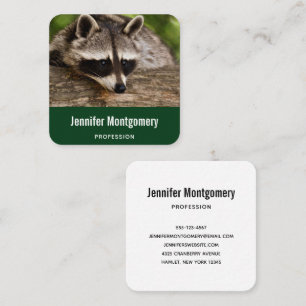 Cute Racoon Resting on a Log Square Business Card
