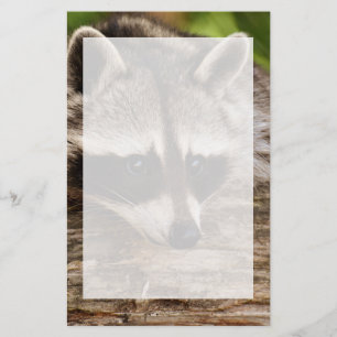 Cute Racoon Resting on a Log Stationery