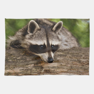 Cute Racoon Resting on a Log Tea Towel