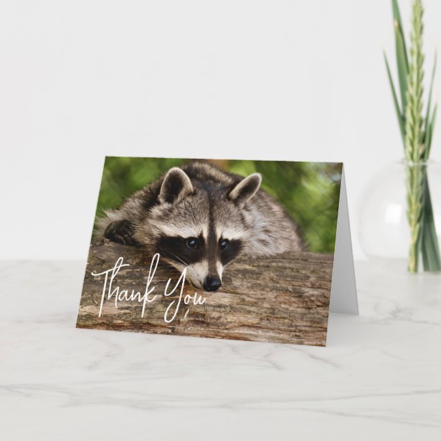 Cute Racoon Resting on a Log Thank You Card (Front)