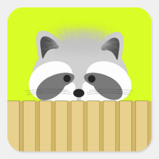Cute Racoon Stickers