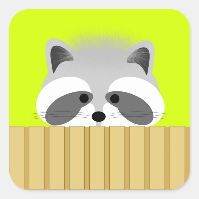 Cute Racoon Stickers (Front)