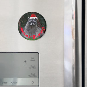 Cute Racoon Wearing Red Santa Hat Holiday Magnet