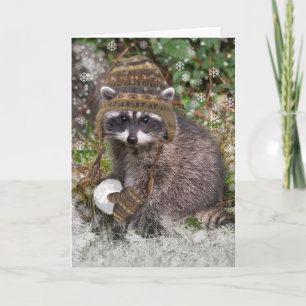 Cute Racoon with mittens and a snowball Holiday Card