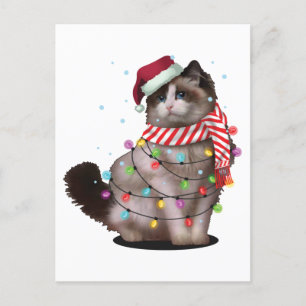 Cute Ragdoll Cat Lover Funny Xmas Holiday Gift Postcard