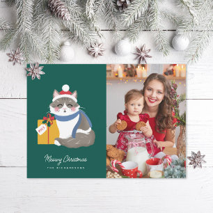 Cute Ragdoll Cat  Photo Holiday Card