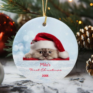 Cute Ragdoll Cat Santa Hat Paw Snow Personalised  Ceramic Ornament