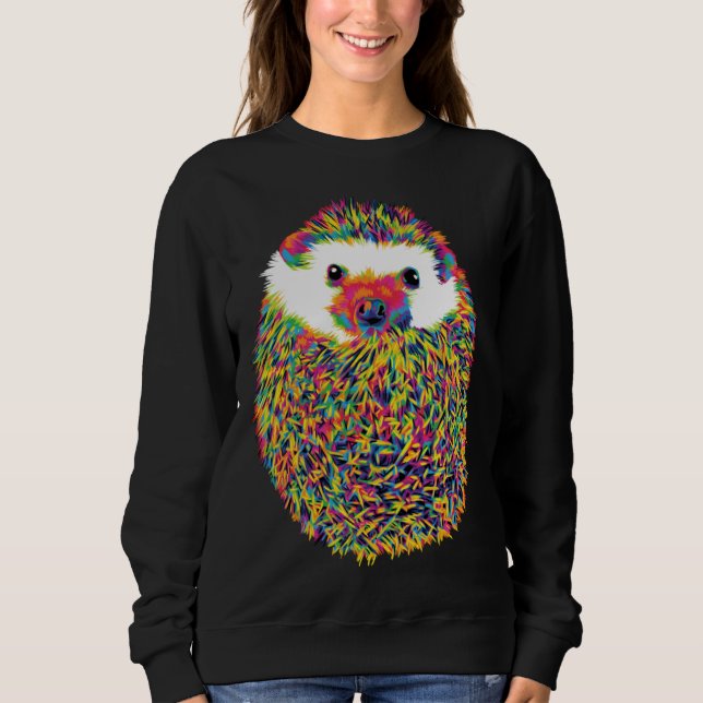 Cute Rainbow Hedgehog Sweatshirt (Front)