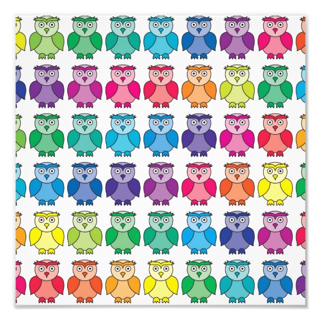 Cute Rainbow Owl Pattern Photo Print (Front)