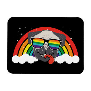 Cute Rainbow Pug Magnet