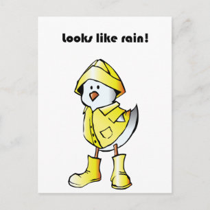 Cute Rainy Day Chick – “Looks Like Rain” Cartoon Postcard