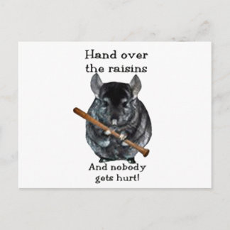 Cute Raisin Mean Chinchilla Postcard