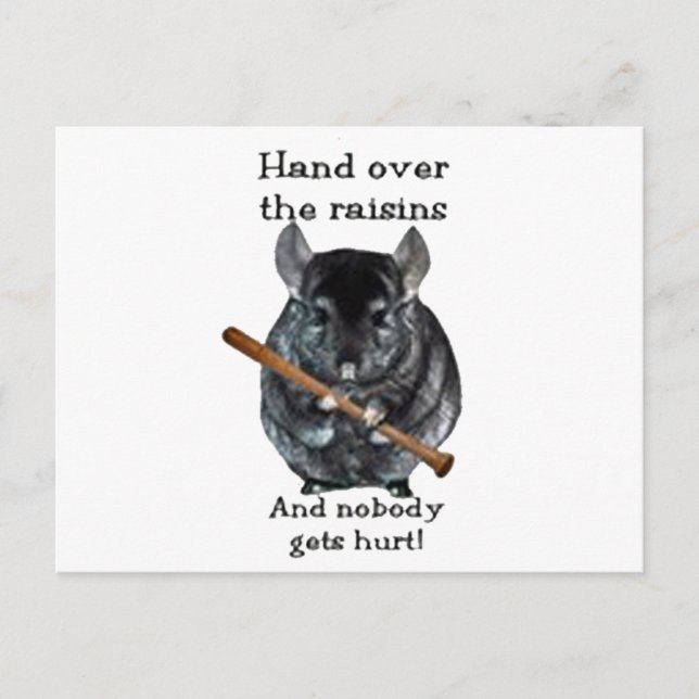 Cute Raisin Mean Chinchilla Postcard (Front)