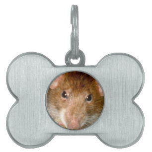 Cute Rat Face Pet Tag