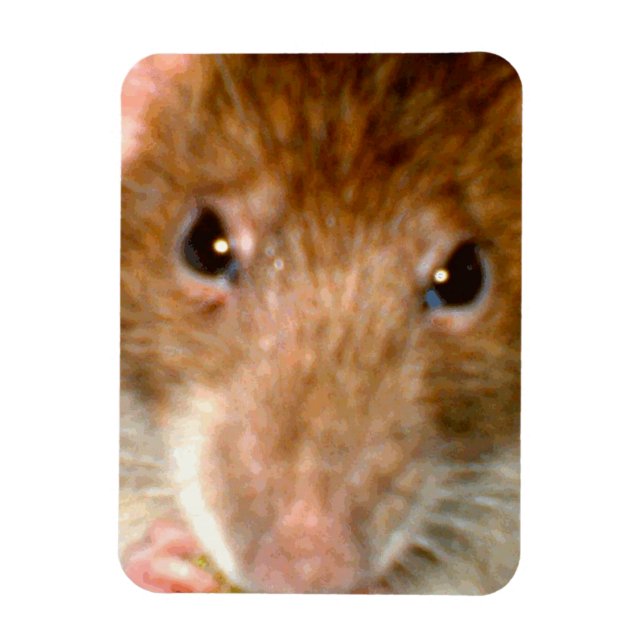 Cute Rat Face Premium Magnet (Vertical)