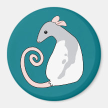 Cute Rat