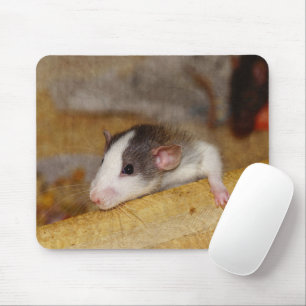 Cute Rat Mouse Pad